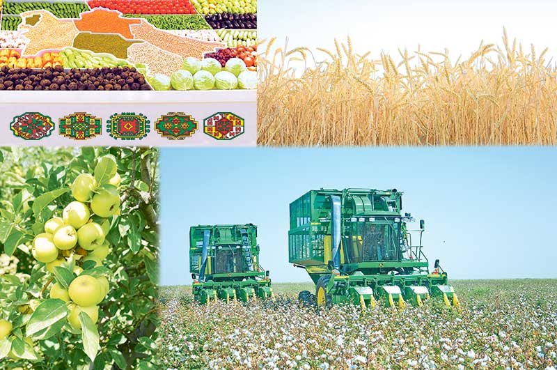 OBA HOJALYGY ÖSÜŞ ÝOLUNDA